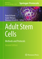 Vincenzo Desiderio, Sanjiv Dhingra, Paolo Di Nardo - Adult Stem Cells