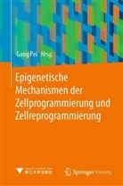 Gang Pei - Epigenetische Mechanismen der Zellprogrammierung und Zellreprogrammierung