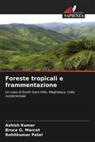 Ashish Kumar, Bruce G. Marcot, Rohitkumar Patel - Foreste tropicali e frammentazione