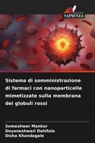 Dnyaneshwari Dahifale, Disha Khandagale, Someshwar Mankar - Sistema di somministrazione di farmaci con nanoparticelle mimetizzate sulla membrana dei globuli rossi