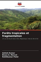 Ashish Kumar, Bruce G. Marcot, Rohitkumar Patel - Forêts tropicales et fragmentation