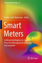 Djaffar Ould Abdeslam - Smart Meters