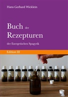 Hans Gerhard Wicklein - Buch der Rezepturen der Energetischen Spagyrik