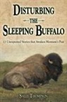 Sally Thompson - Disturbing the Sleeping Buffalo