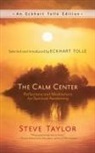 Steve Taylor - Calm Center
