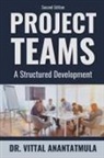 Vittal Anantatmula - Project Teams