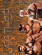Teddy Zuniga - LEATHER BEARS
