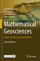 Joseph L Awange, Joseph L. Awange, Robert H et Lewis, Robert H. Lewis, Béla Paláncz, Lajos Völgyesi - Mathematical Geosciences