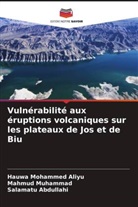 Salamatu Abdullahi, Hauwa Mohammed Aliyu, Mahmud Muhammad - Vulnérabilité aux éruptions volcaniques sur les plateaux de Jos et de Biu