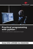 Glody BIMA LEMINDE ALI-NGAKONG - Practical programming with python :
