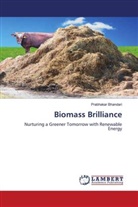 Prabhakar Bhandari - Biomass Brilliance