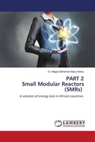 Dr. Magdy Mohamed Niazy Abdou, Magdy Mohamed Niazy Abdou - PART 2 Small Modular Reactors (SMRs)