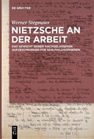 Werner Stegmaier - Nietzsche an der Arbeit