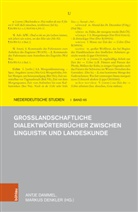 Antje Dammel, Denkler, Markus Denkler - Großlandschaftliche Dialektwörterbücher zwischen Linguistik und Landeskunde