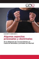 ELIZABETH ANDRADES C. - Algunos aspectos procesales y doctrinales