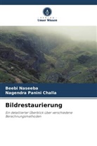 Beebi Naseeba, Nagendra Panini Challa - Bildrestaurierung