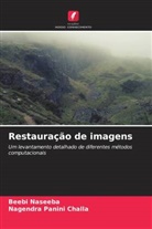 Beebi Naseeba, Nagendra Panini Challa - Restauração de imagens