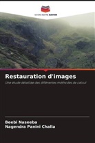 Beebi Naseeba, Nagendra Panini Challa - Restauration d'images