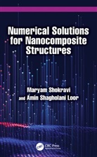 Amin Shagholani Loor, Maryam Shokravi - Numerical Solutions for Nanocomposite Structures