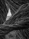 DOUGHERTY PATRICK, James Florio - Patrick Dougherty | James Florio: Sticks