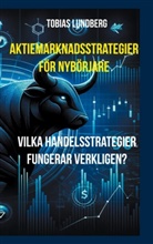 Tobias Lundberg - Aktiemarknadsstrategier för nybörjare