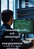 Erling Gustafsson - Innovation och utmaningar i ett nytt energisystem