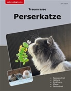 Dirk Gisbert - Traumrasse Perserkatze