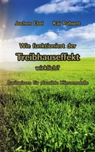 Jochen Ebel, Kai Ruhsert - Wie funktioniert der Treibhauseffekt wirklich?