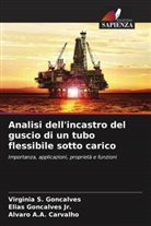 Álvaro A. A. Carvalho, Álvaro A.A. Carvalho, Elias Gonçalves Jr., Virgínia S. Gonçalves - Analisi dell'incastro del guscio di un tubo flessibile sotto carico