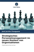 José Jacinto Chunguane - Strategisches Personalmanagement im neuen Kontext von Organisationen
