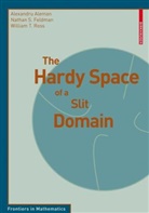 Alexandru Aleman, Nathan S Feldman, Nathan S. Feldman, William Ross, William T. Ross - The Hardy Space of a Slit Domain