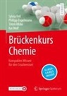 Philipp Engelmann, Feil, Sylvia Feil, Timm Wilke, Timm u a Wilke, Kai Wolf - Brückenkurs Chemie