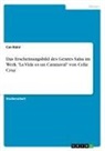 Can Bakir - Das Erscheinungsbild des Genres Salsa im Werk "La Vida es un Caranaval" von Celia Cruz