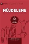 J. MacK Stiles - Mu¿jdeleme (Evangelism) (Turkish)