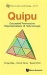 Yongju Bae, J Scott Carter, J Scott Carter, Byeorhi Kim, J Scott Carter Byeorhi Kim Yongju Bae - Quipu: Decorated Permutation Representations Of Finite Groups