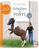 Antonia Schwarzkopf - Arbeiten mit Ponys