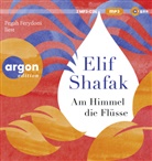 Elif Shafak, Pegah Ferydoni - Am Himmel die Flüsse (Hörbuch)