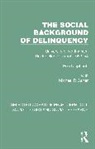 Pearl Jephcott, Jephcott Pearl - The Social Background of Delinquency