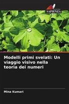 Mina Kumari - Modelli primi svelati: Un viaggio visivo nella teoria dei numeri