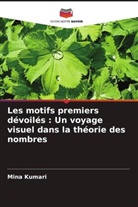 Mina Kumari - Les motifs premiers dévoilés : Un voyage visuel dans la théorie des nombres