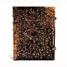 Paperblanks - Grolier Ultra Lined Hardcover Journal, 144pg, 120GSM by Paperblanks (Grolier Ornamentali)
