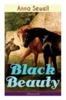 Anna Sewell - Black Beauty (Illustrated)