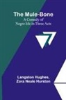 Langston Hughes, Zora Neale Hurston - The Mule-Bone; A comedy of Negro life in three acts
