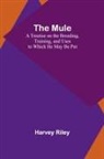 Harvey Riley - The Mule