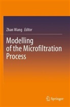 Zhan Wang - Modelling of the Microfiltration Process