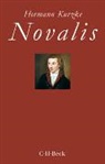 Hermann Kurzke - Novalis