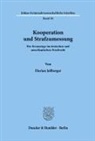 Florian Jeßberger - Kooperation und Strafzumessung.