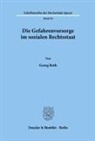 Georg Roth - Die Gefahrenvorsorge im sozialen Rechtsstaat.