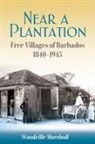 Woodville Marshall - Near a Plantation