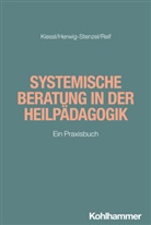 Eckehard Herwig-Stenzel, Heidrun Kiessl, Jut Reif, Jutta Reif - Systemische Beratung in der Heilpädagogik